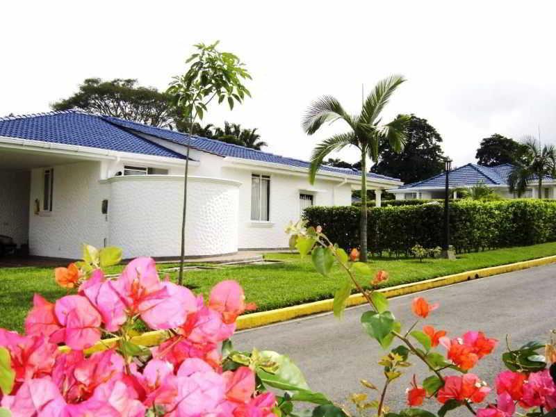 Hotel Palma Verde El Edén Dış mekan fotoğraf
