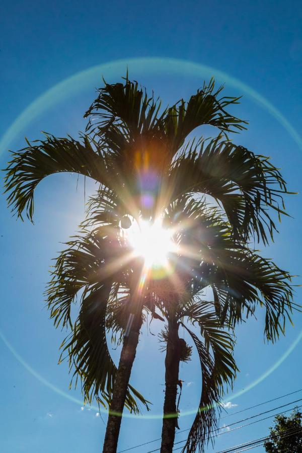 Hotel Palma Verde El Edén Dış mekan fotoğraf